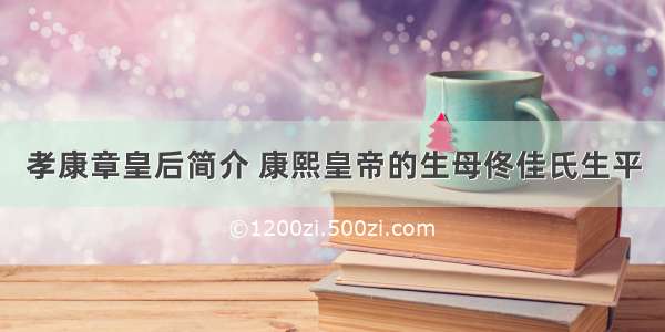 孝康章皇后简介 康熙皇帝的生母佟佳氏生平