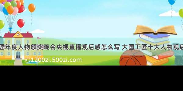 大国工匠年度人物颁奖晚会央视直播观后感怎么写 大国工匠十大人物观后感素材