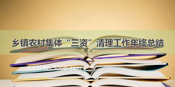 乡镇农村集体“三资”清理工作年终总结