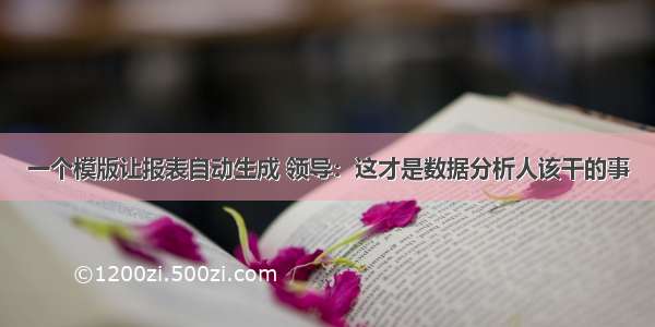 一个模版让报表自动生成 领导：这才是数据分析人该干的事