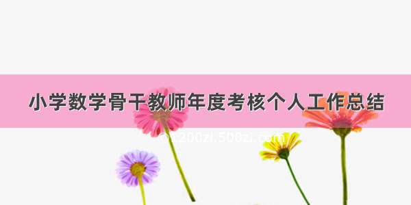 小学数学骨干教师年度考核个人工作总结