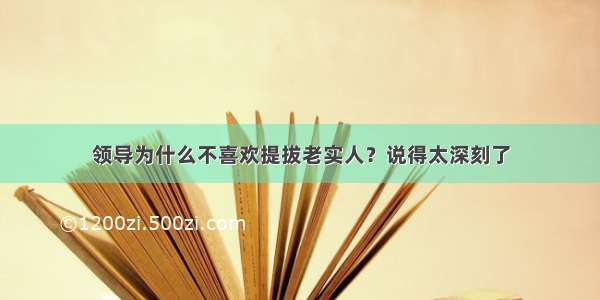 领导为什么不喜欢提拔老实人？说得太深刻了