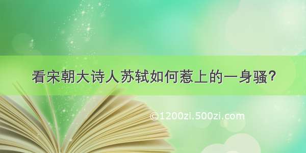 看宋朝大诗人苏轼如何惹上的一身骚？