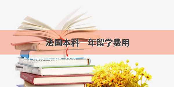 法国本科一年留学费用