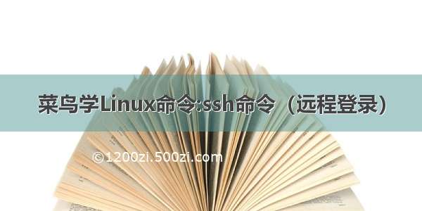 菜鸟学Linux命令:ssh命令（远程登录）