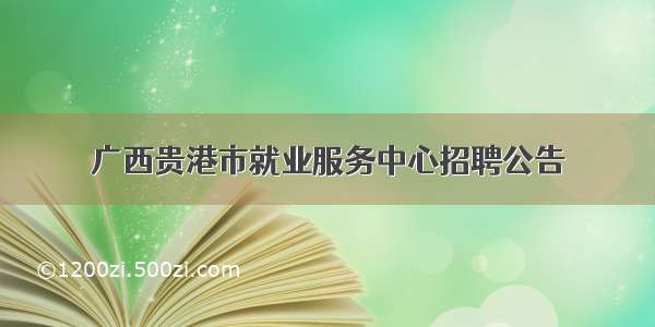 广西贵港市就业服务中心招聘公告