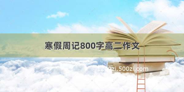 寒假周记800字高二作文