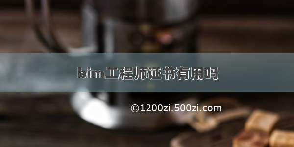 bim工程师证书有用吗