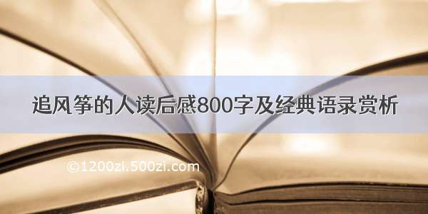 追风筝的人读后感800字及经典语录赏析