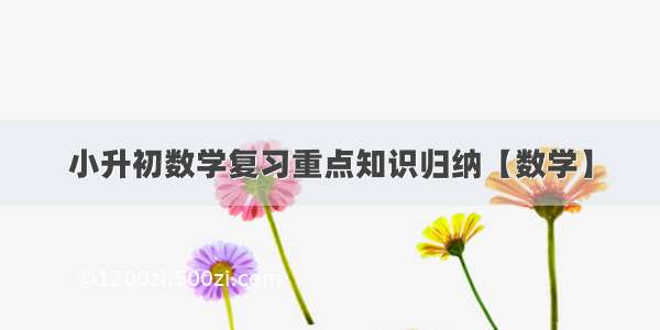 小升初数学复习重点知识归纳【数学】