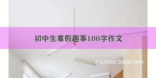 初中生寒假趣事100字作文