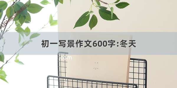 初一写景作文600字:冬天