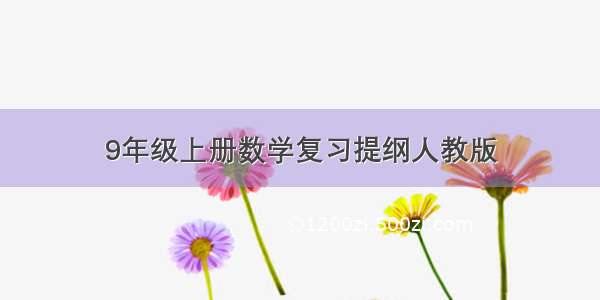 9年级上册数学复习提纲人教版