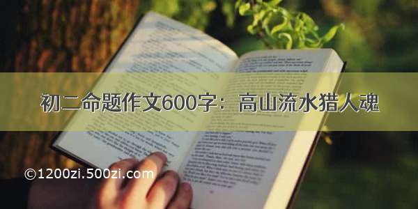 初二命题作文600字：高山流水猎人魂