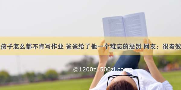 孩子怎么都不肯写作业 爸爸给了他一个难忘的惩罚 网友：很奏效