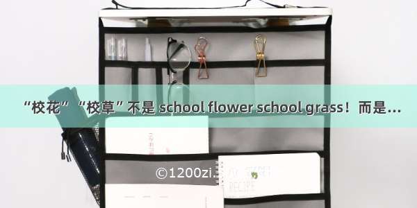 “校花” “校草”不是 school flower school grass！而是...