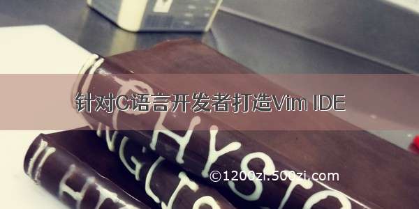 针对C语言开发者打造Vim IDE