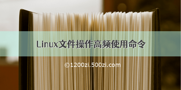 Linux文件操作高频使用命令