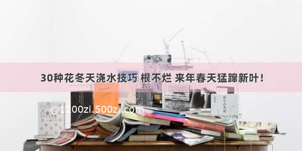 30种花冬天浇水技巧 根不烂 来年春天猛蹿新叶！