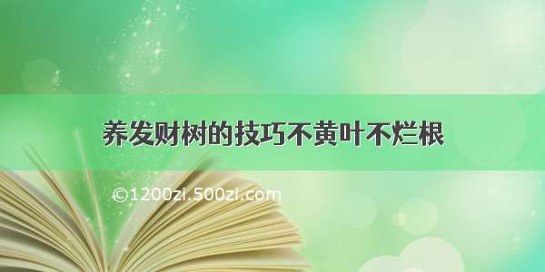 养发财树的技巧不黄叶不烂根