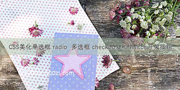 CSS美化单选框 radio  多选框 checkbox 和 switch开关按钮