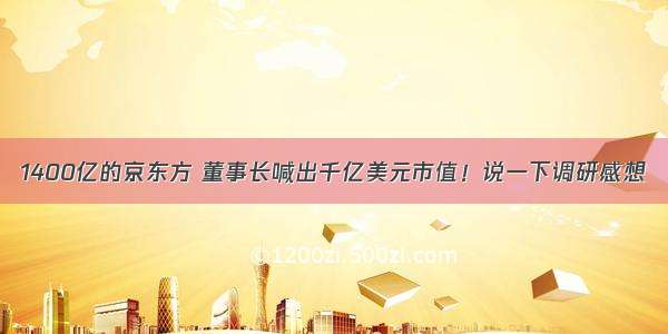 1400亿的京东方 董事长喊出千亿美元市值！说一下调研感想