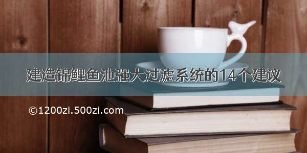 建造锦鲤鱼池强大过滤系统的14个建议