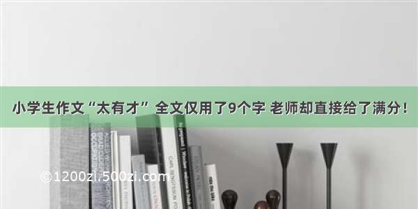 小学生作文“太有才” 全文仅用了9个字 老师却直接给了满分！