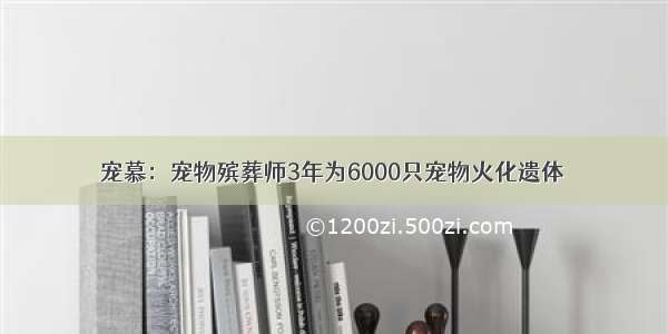 宠慕：宠物殡葬师3年为6000只宠物火化遗体