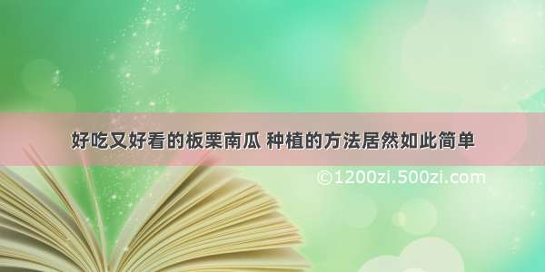 好吃又好看的板栗南瓜 种植的方法居然如此简单