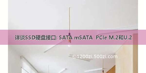 详谈SSD硬盘接口: SATA mSATA  PCIe M.2和U.2