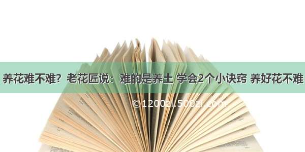 养花难不难？老花匠说：难的是养土 学会2个小诀窍 养好花不难