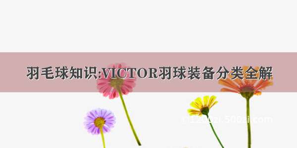 羽毛球知识:VICTOR羽球装备分类全解