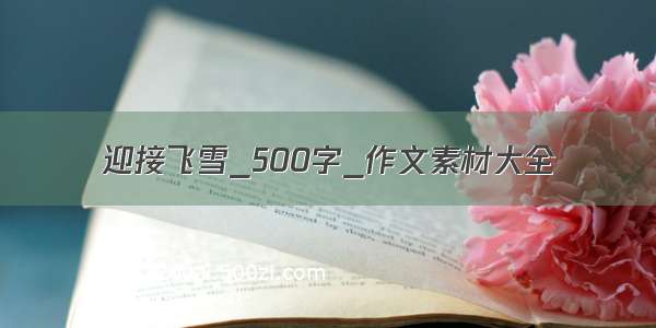 迎接飞雪_500字_作文素材大全