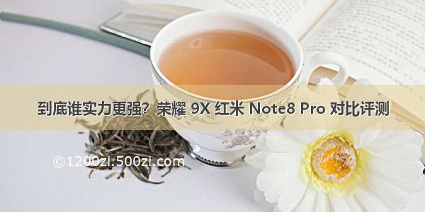 到底谁实力更强？荣耀 9X 红米 Note8 Pro 对比评测