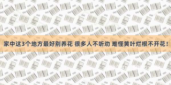 家中这3个地方最好别养花 很多人不听劝 难怪黄叶烂根不开花！