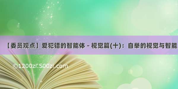 【委员观点】爱犯错的智能体 – 视觉篇(十)：自举的视觉与智能