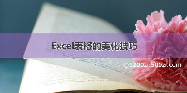 Excel表格的美化技巧