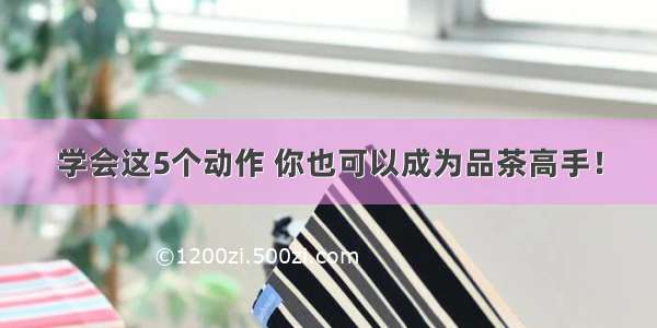 学会这5个动作 你也可以成为品茶高手！