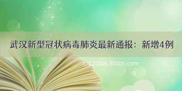 武汉新型冠状病毒肺炎最新通报：新增4例