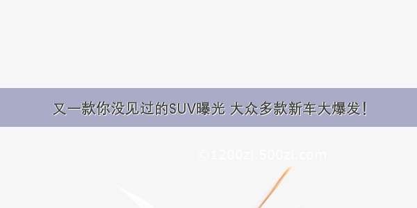 又一款你没见过的SUV曝光 大众多款新车大爆发！