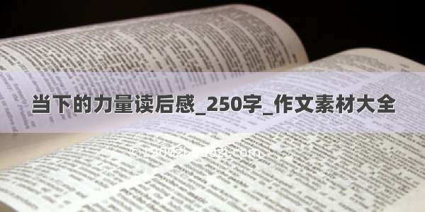 当下的力量读后感_250字_作文素材大全