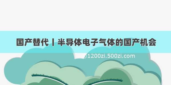 国产替代丨半导体电子气体的国产机会