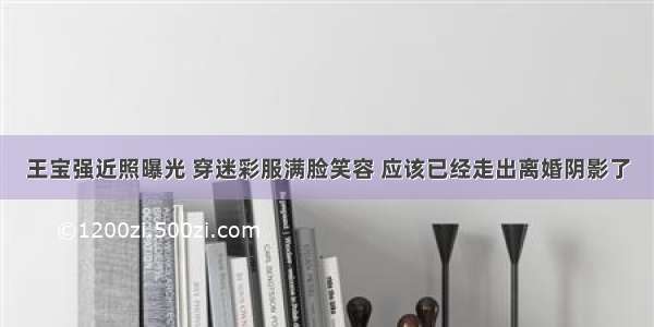 王宝强近照曝光 穿迷彩服满脸笑容 应该已经走出离婚阴影了