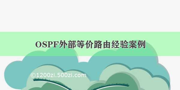 OSPF外部等价路由经验案例