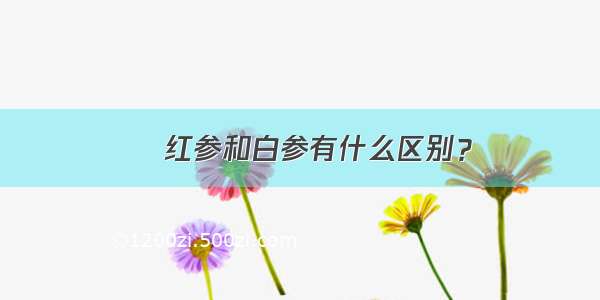 ​红参和白参有什么区别？