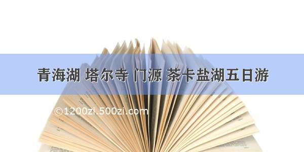 青海湖 塔尔寺 门源 茶卡盐湖五日游