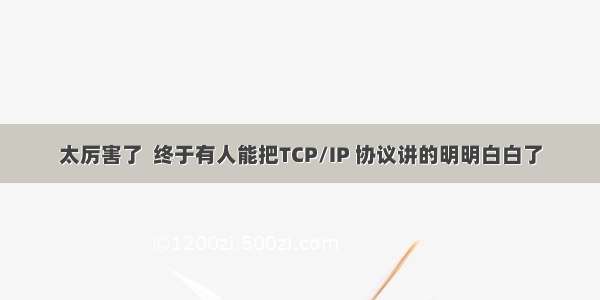 太厉害了  终于有人能把TCP/IP 协议讲的明明白白了