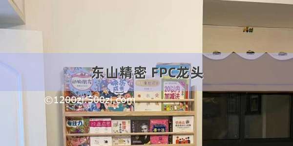 东山精密 FPC龙头