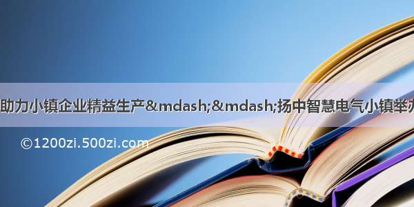 &ldquo;智慧大脑&rdquo;助力小镇企业精益生产&mdash;&mdash;扬中智慧电气小镇举办企业数字化转型项目路演活